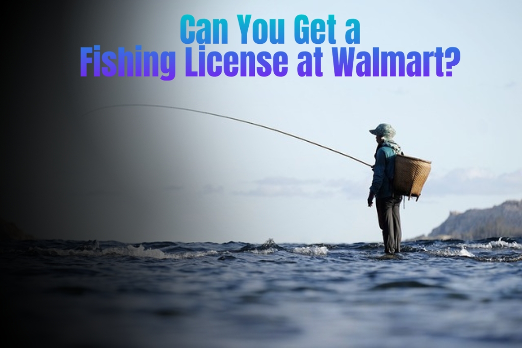 Can You Get a Fishing License at Walmart? Here’s What You Need to Know