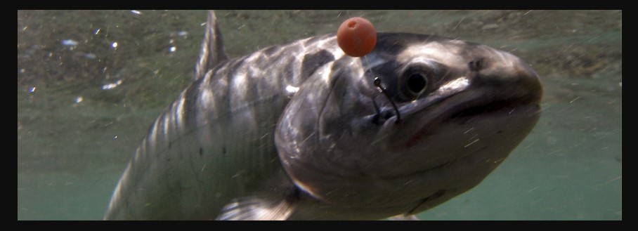 Underwater fishing beads