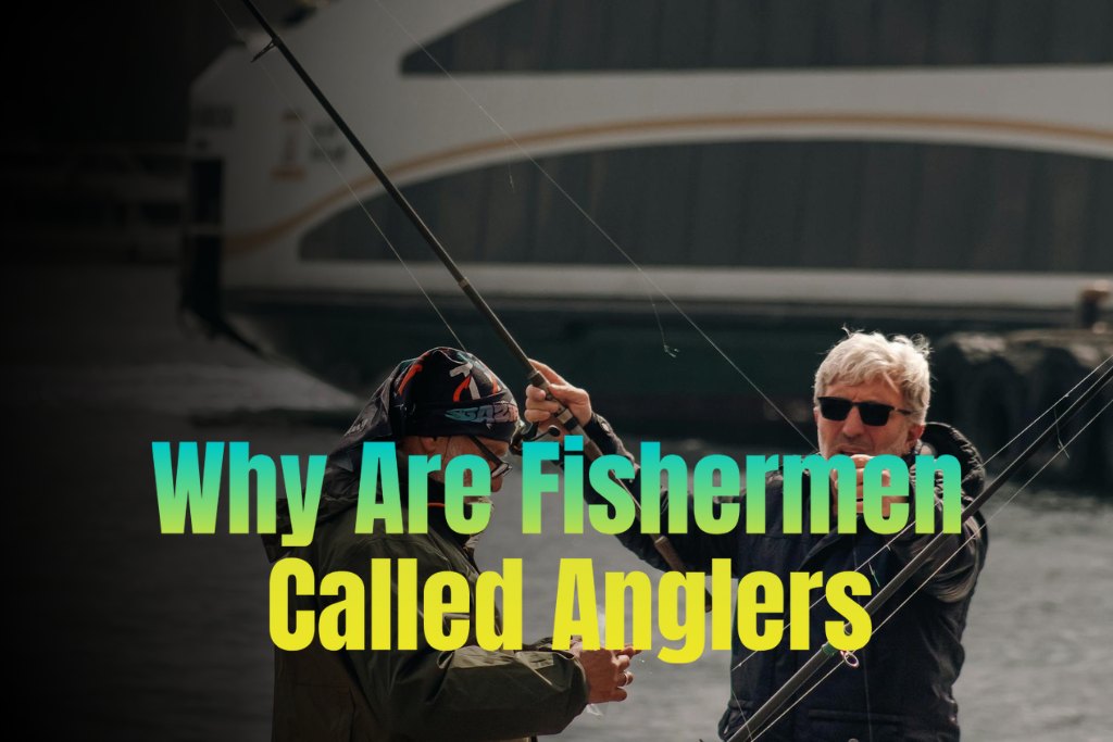 Why Are Fishermen Called Anglers