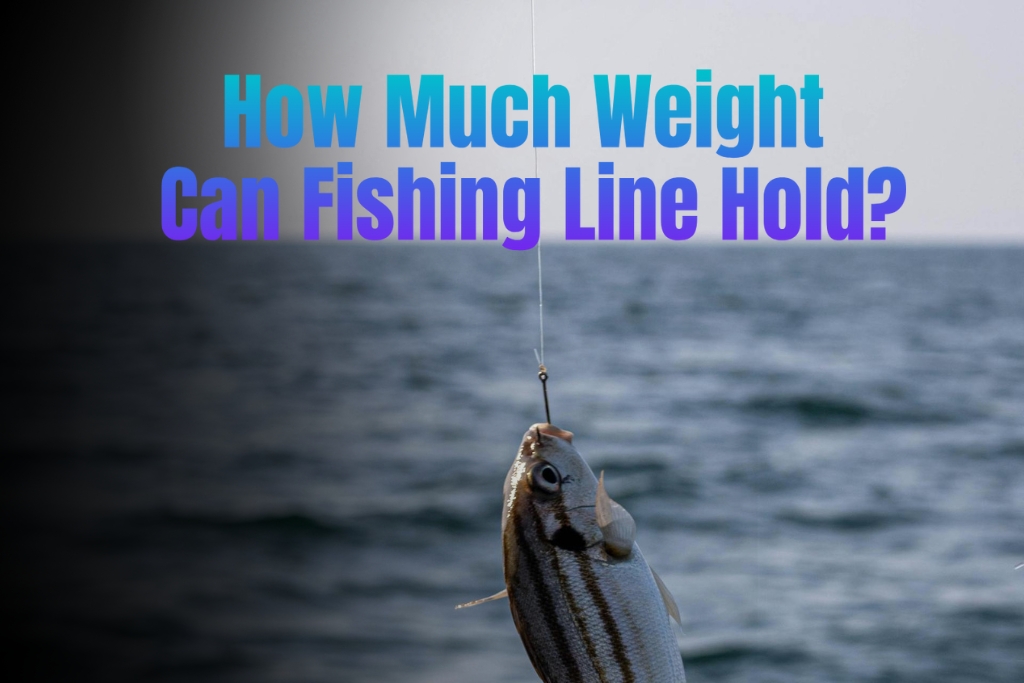 How Much Weight Can Fishing Line Hold? A Beginner’s Guide